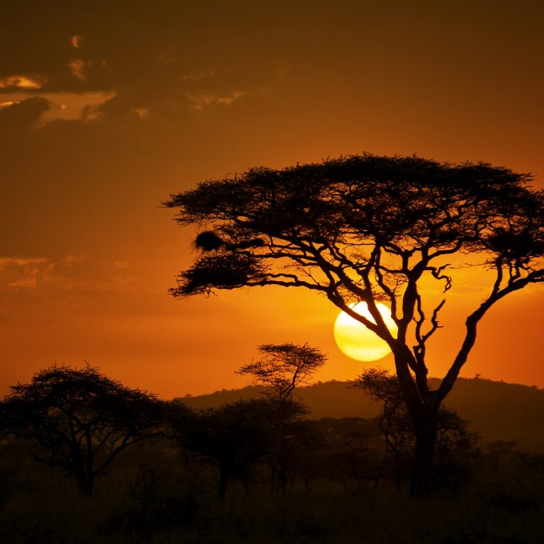 Sonnenuntergang Sonnenuntergang